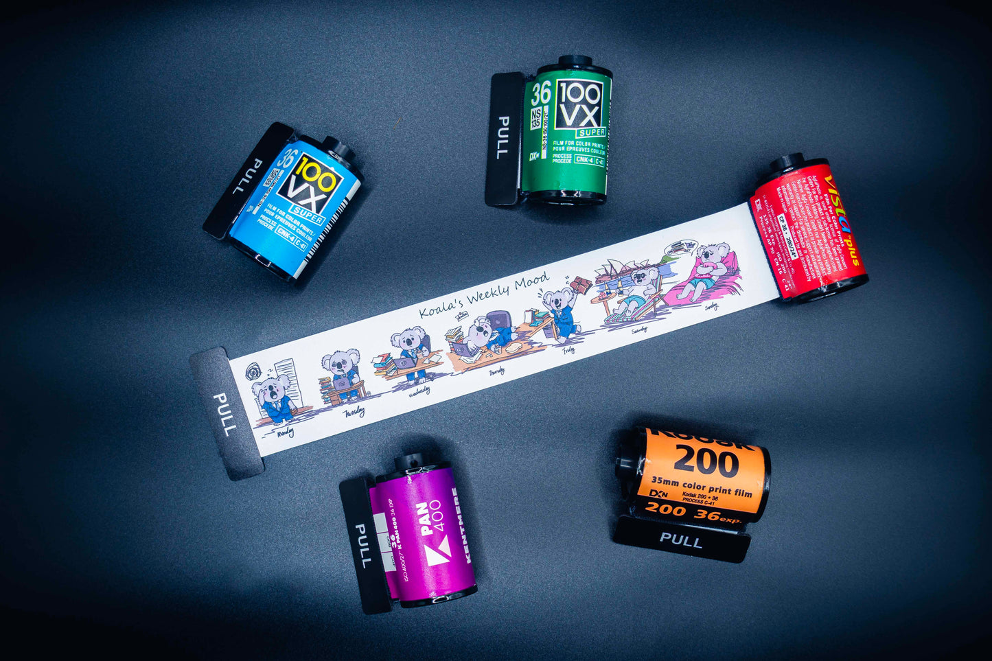 Retro Film Roll Magnet - Hand-Drawn Koala Weekly Mode