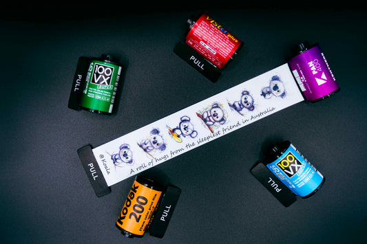 Retro Film Roll Magnet - Koala