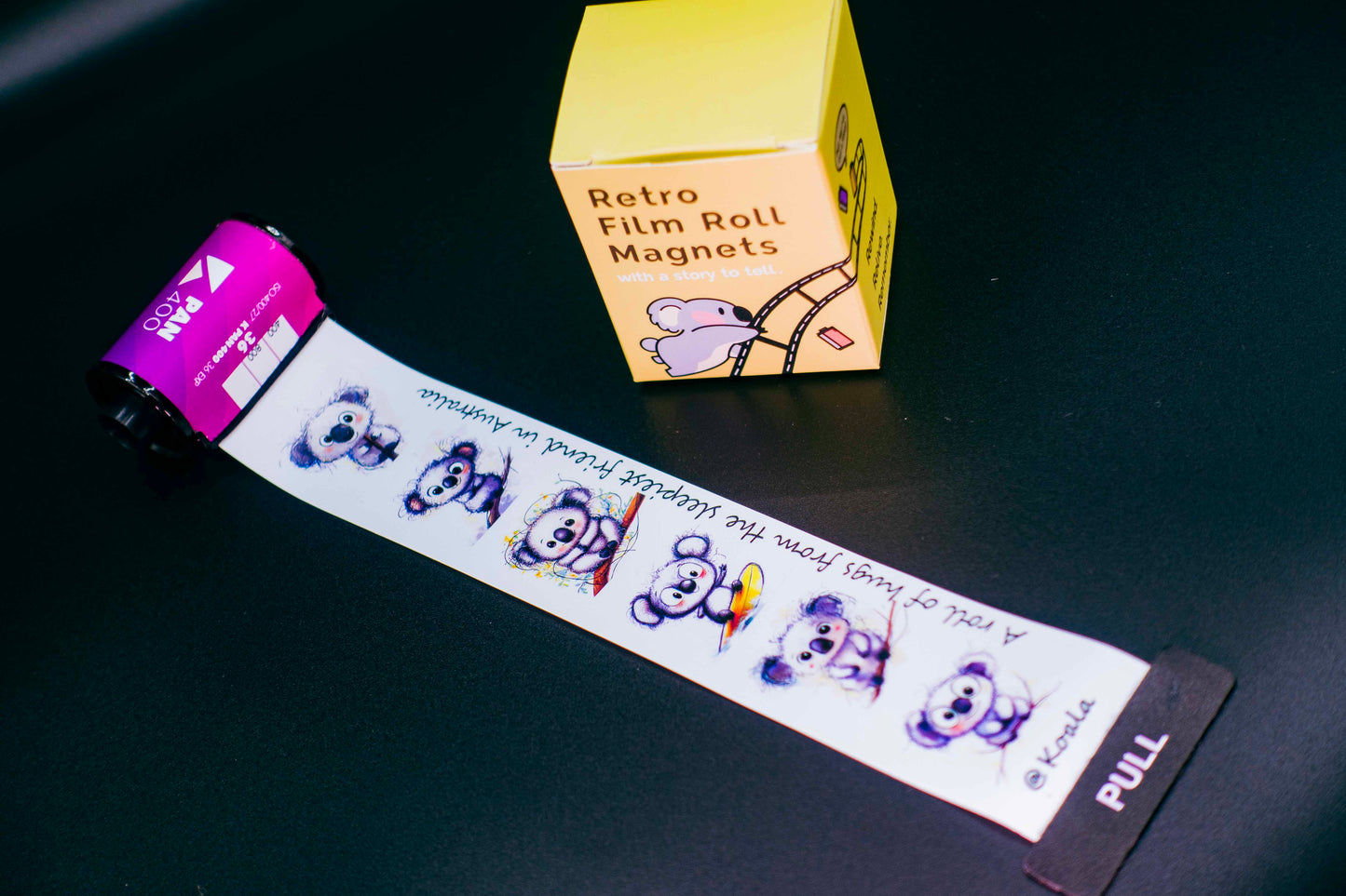Retro Film Roll Magnet - Koala