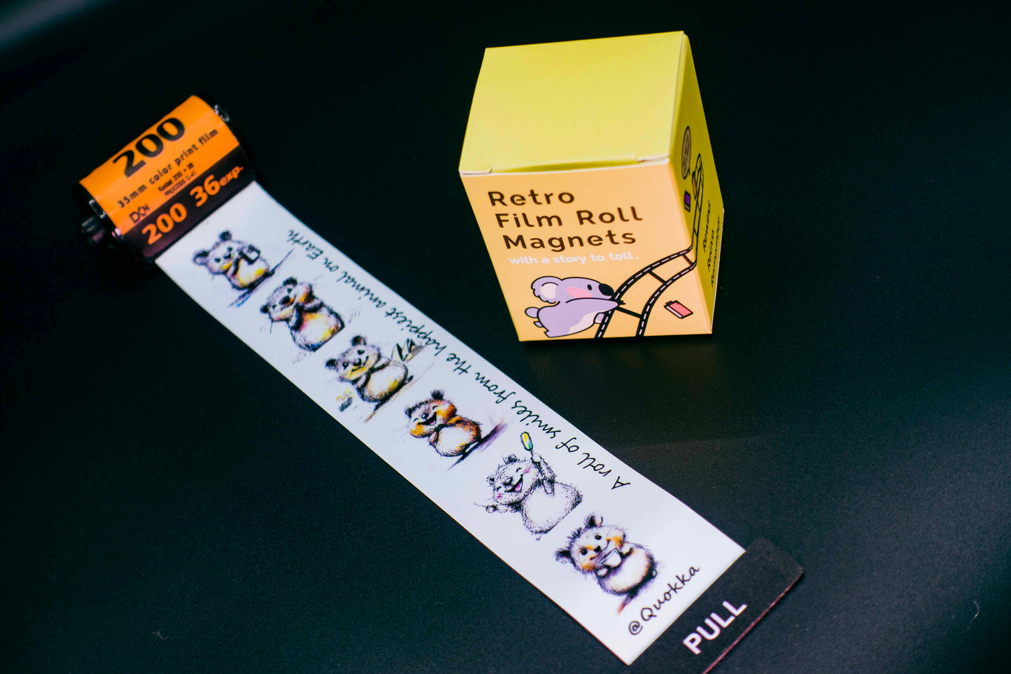 Retro Film Roll Magnet - Quokka