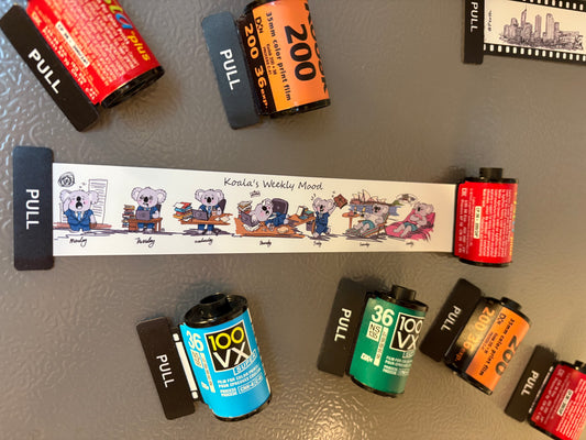 Retro Film Roll Magnet - Hand-Drawn Koala Weekly Mode